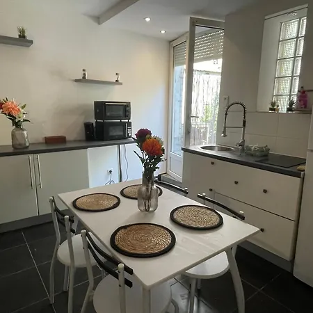Studio-terrasse-nancy-gare * 南锡